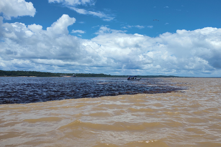 Manaus: City Tour with Meeting of the Waters Boat Trip
