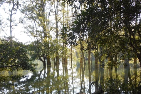 Ho Chi Minh: Exploring Cat Tien national park - Image 2