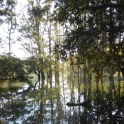 Ho Chi Minh: Exploring Cat Tien national park Ho Chi Minh: Exploring Cat Tien national park