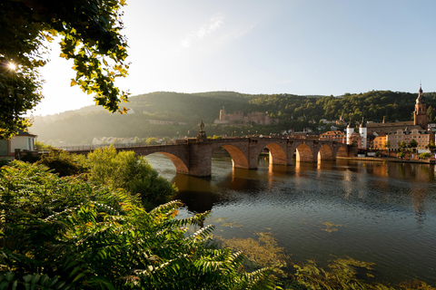 Excursión privada de un día desde Frankfurt al valle del Rin y regreso