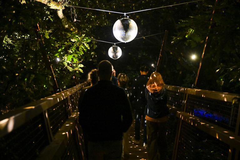 Porto: Serralves Em Luz Immersive Light Show Entry Ticket