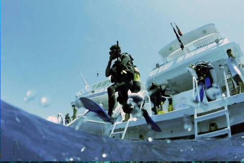 Qatar Ocean Discovery: Guided Scuba Dive & Refreshing Break