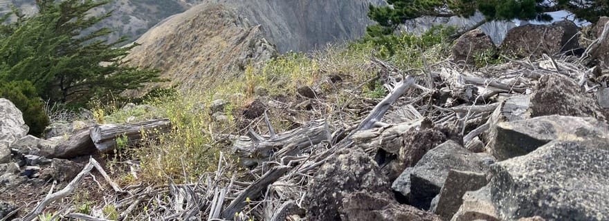 Porto Santo : randonnée guidée dans les montagnes du Pico Branco et de Terra Cha