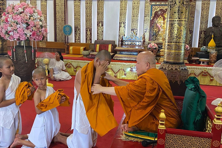 Chiang Mai: Temple Visit & Elephant Nature Observation