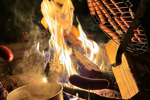 Rovaniemi: Aurora hunting and a fireside BBQ experience