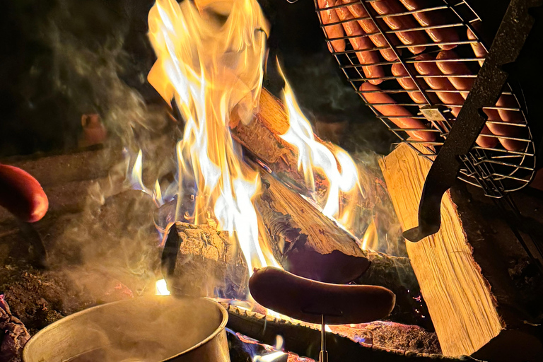 Rovaniemi: Aurora hunting and a fireside BBQ experience