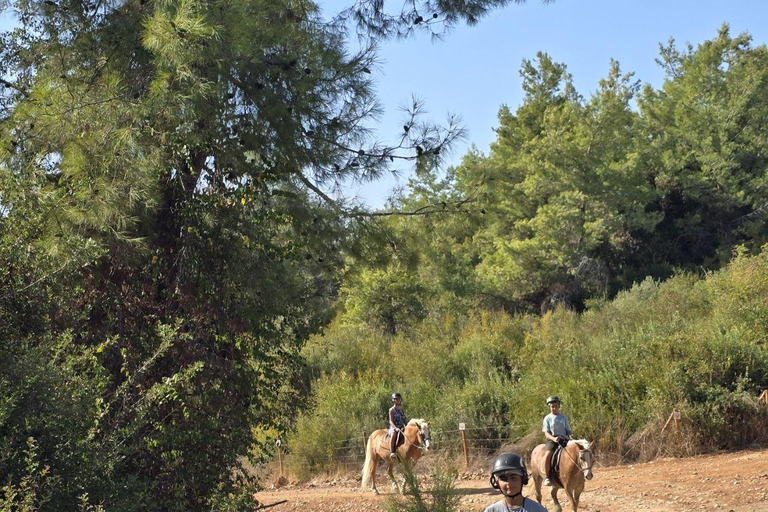 Side: Horse Safari and Family Activity Park Entry 2-Hour Extended Horse Safari Experience