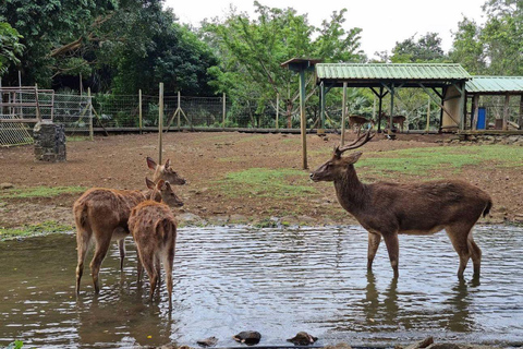 Mauritius Northern Tour