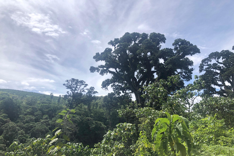 Arusha-Wanderung: Napuru-Wasserfälle