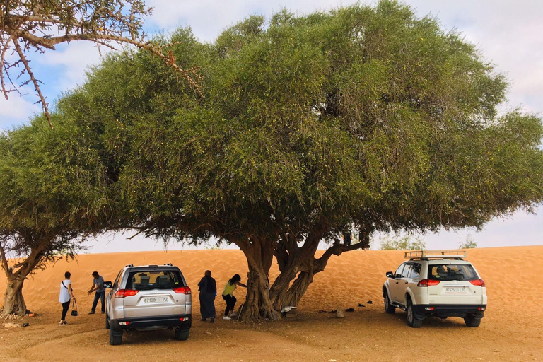 From Agadir: Mini Sahara Day Tour with Lunch