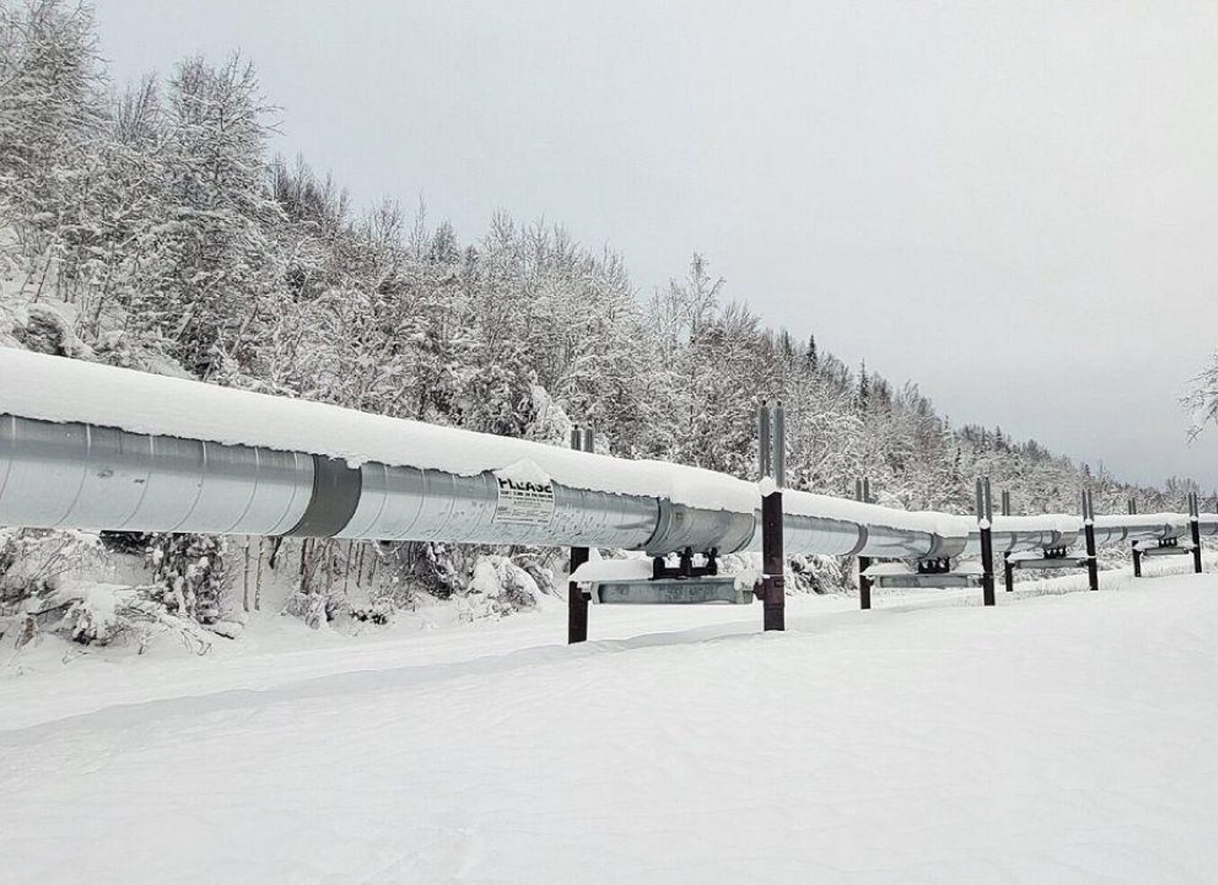 Fairbanks kulturarvstur