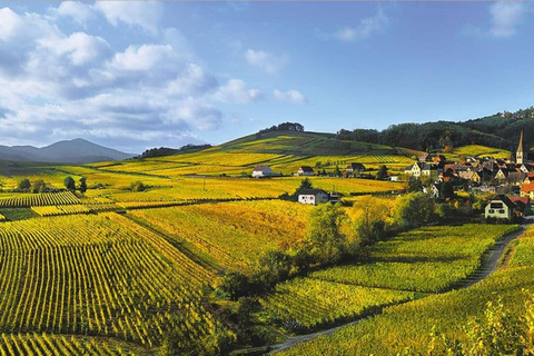 From Strasbourg: a traditional wine tour to Colmar