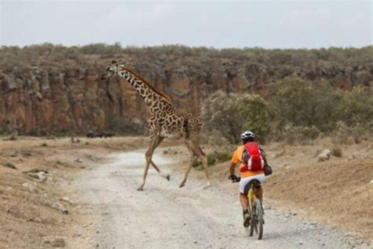 Day Trip Naivasha Hell&#039;s Gate Park, Horse Riding SanctuaryDay Tour Naivasha Hells Gate, Horse Riding Sanctuary Farm