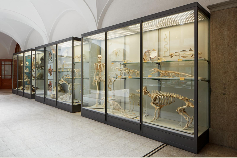 ETH Zurich Tour: Under the Skin