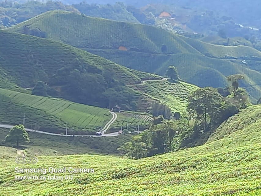 Cameron Highland Day Tour From Ipoh