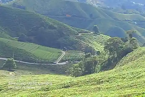 Cameron Highland Day Tour From Ipoh