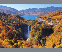 Ganztägige private Nikko-Tour mit englischsprachiger Fahrerin - Housity