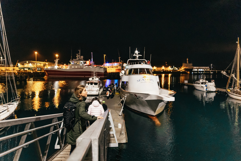 Reikiavik: tour por la aurora boreal en yate de lujoReikiavik: aurora boreal en yate desde punto de encuentro