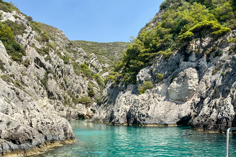 Zakynthos : Croisière privée vers la plage des naufrages