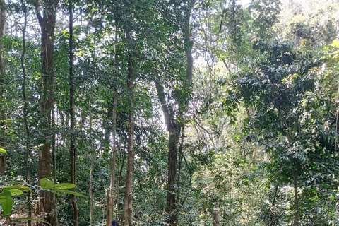 Från Zanzibar 3 nätter &amp; 1 dag MIKUMI &amp; Udzungwa mountain 4 dagar