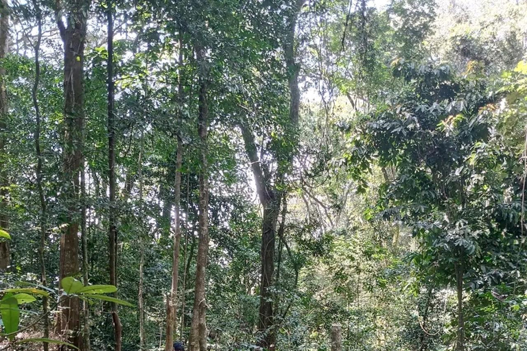 Från Zanzibar 3 nätter &amp; 1 dag MIKUMI &amp; Udzungwa mountain 4 dagar