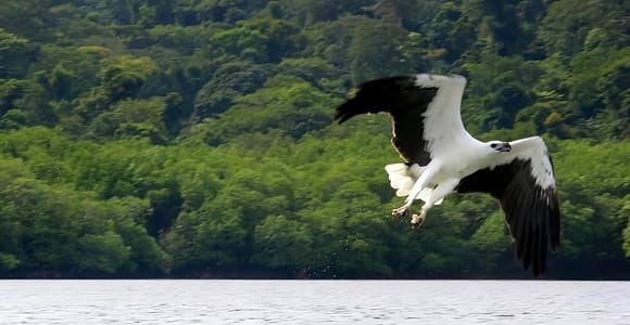 Langkawi: Island Hopping Shared or Private Boat Options