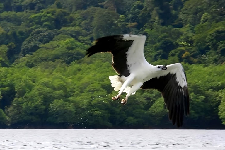 Langkawi: Island Hopping Shared or Private Boat Options Share Boat with Eagle Feeding at 9 AM