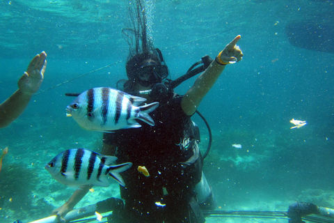 Bali: Scuba Diving For Beginner Experience