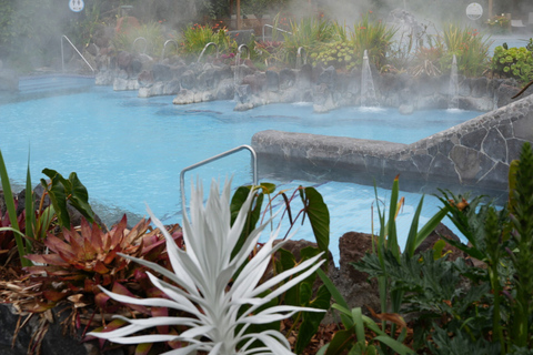 Papallacta Hot Springs, Glacial Lagoon & Cloud Forest Hike