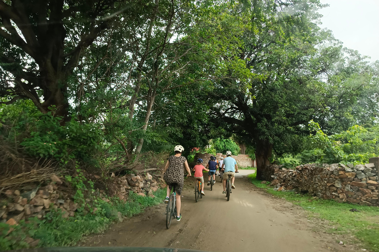 Visite à vélo de la campagne d&#039;Udaipur