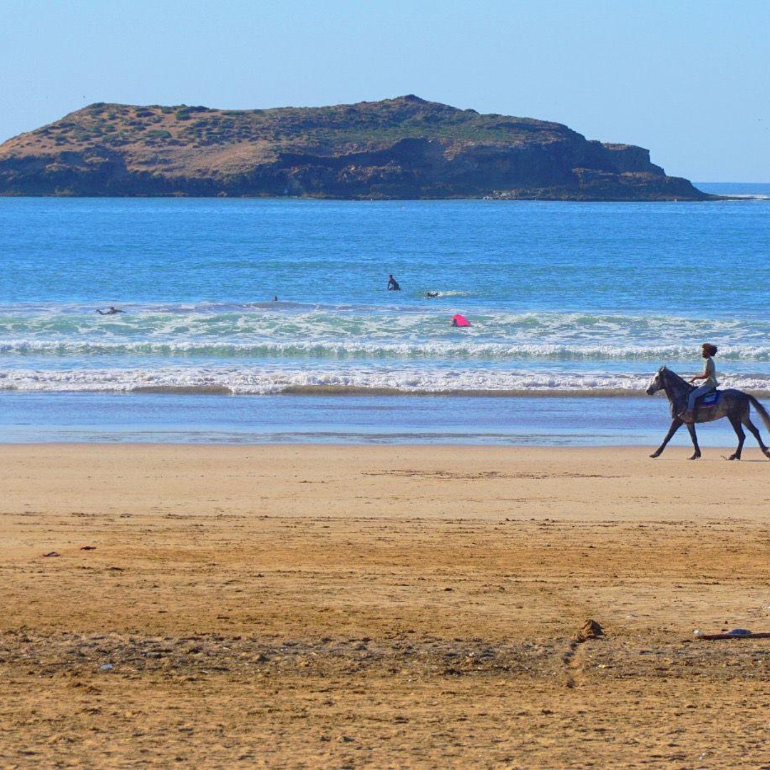 Excursion d'une journée à Essaouira au départ de Marrakech