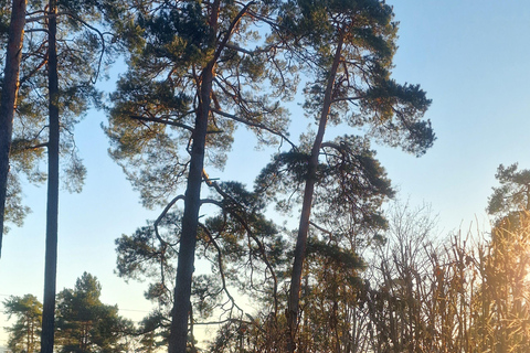 Oslo Fjord: Malmøya Island Paddleboarding & Campfire Salmon