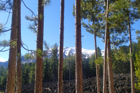 Wandeltour in kleine groep over de Etna en bezoek aan een lavagrot