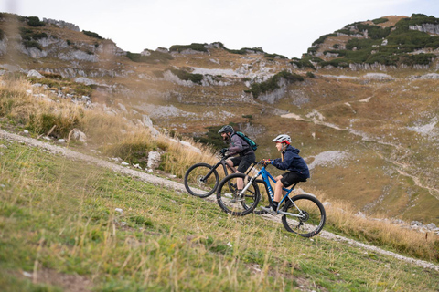 Chambéry : Electric Mountain Bike rentalChambéry : Alquiler de bicicletas eléctricas de montaña