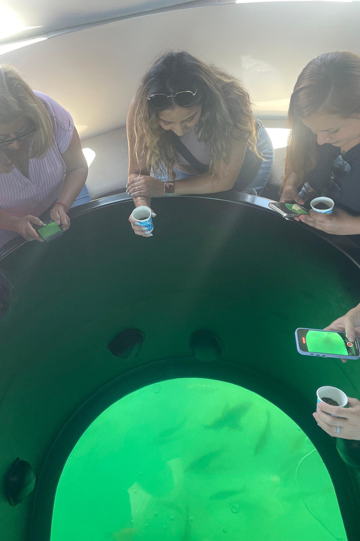 Long Beach Glass Bottom Boat Harbor Ecotour GetYourGuide
