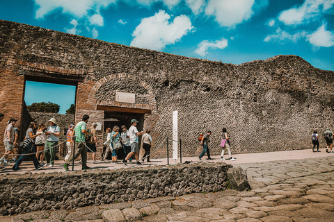 Pompeji &amp; Herculaneum: Skip-the-line &amp; App Audioguide