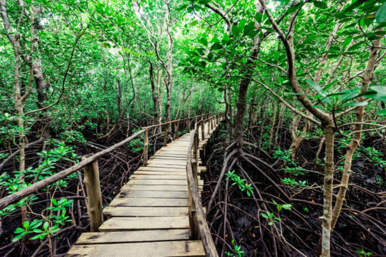 JOZANI FOREST NATIONAL PARK AND SPICE FARM