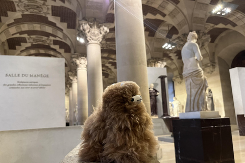 Paris : billet d&#039;entrée au musée du Louvre et visite guidée privée