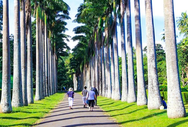 Visit Kandy Majesty Full-Day Feast & Explore with Lunch in Rimini, Italy