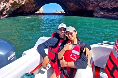 Paracas Total: Islas Ballestas y Reserva Nacional en un Solo Día