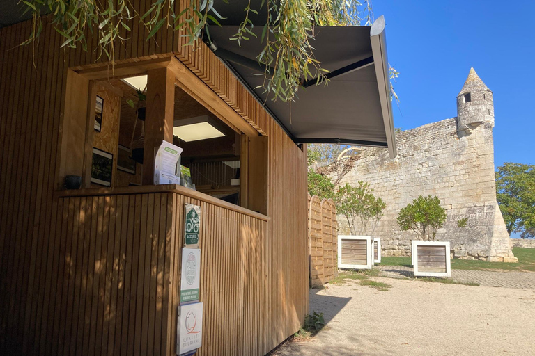 La Rochelle : Visite guidée privée du Marais Poitevin en voiture