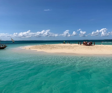 Zanzibar: esplorazione Safari Blue di un giorno intero