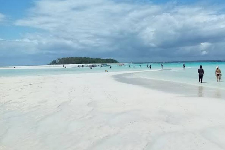 Zanzibar: Nadar e mergulhar com golfinhos no Atol de Mnemba