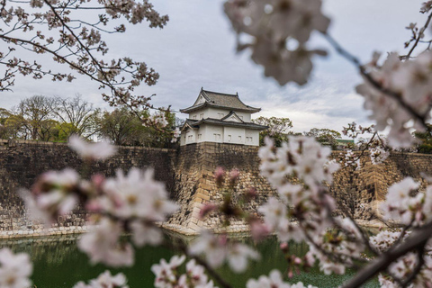 Tokyo: Discover The City Your Way Half-Day Private Sightseeing Ride in Tokyo