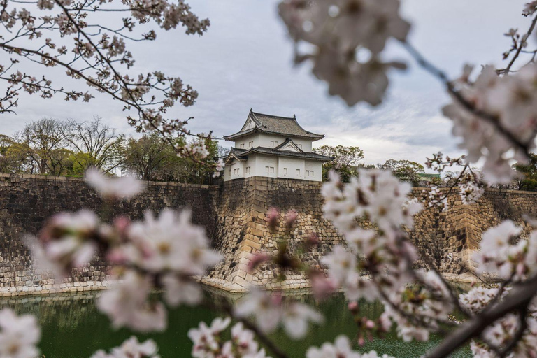 Tokyo: Discover The City Your Way Half-Day Private Sightseeing Ride in Tokyo