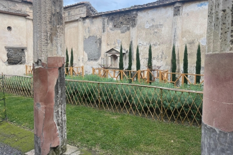 Desde Sorrento: Pompeya Visita guiada grupo reducido