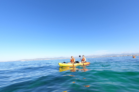 Baie de Palma : location de kayak