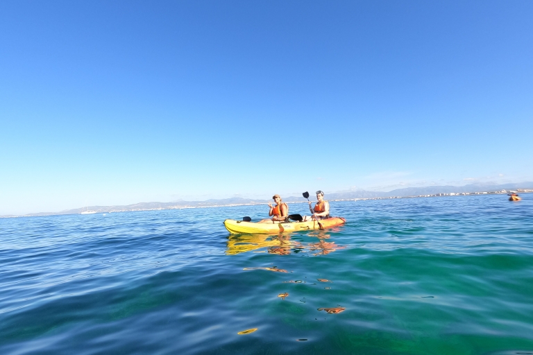 Baie de Palma : location de kayak