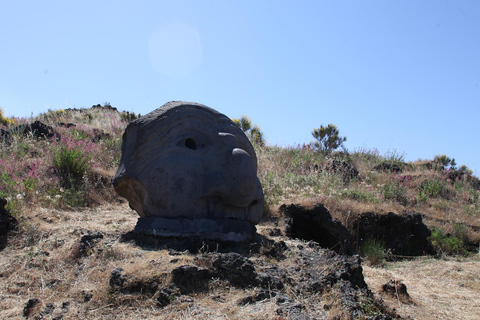 From Pompei: Pompeii, Herculaneum & Mt. Vesuvius Day Trip