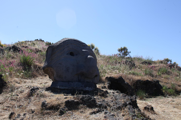 From Pompei: Pompeii, Herculaneum & Mt. Vesuvius Day Trip